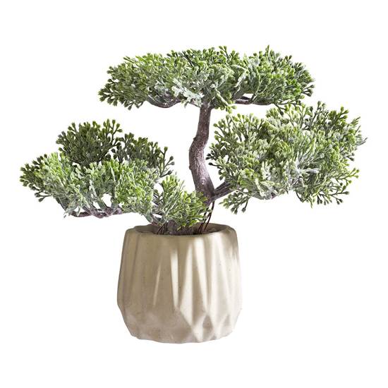 BRYNJAR bonsai gervitré í potti H22cm