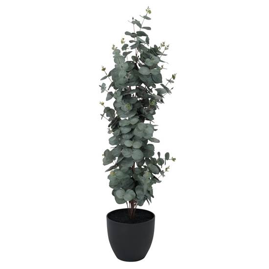 RIPA skrautplanta H90 cm eucalyptus