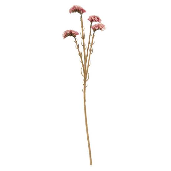 RALF skrautplanta H62cm rose